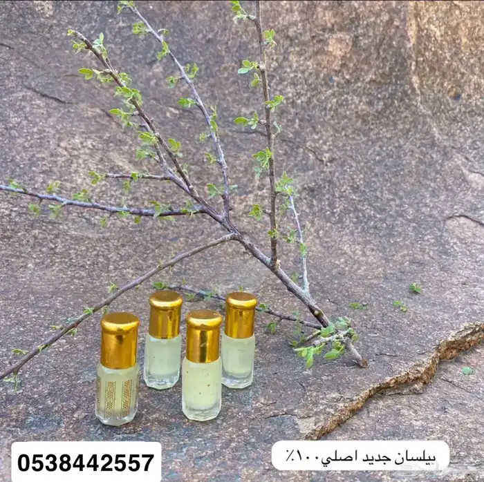 بيلسان اصلي بشام 0