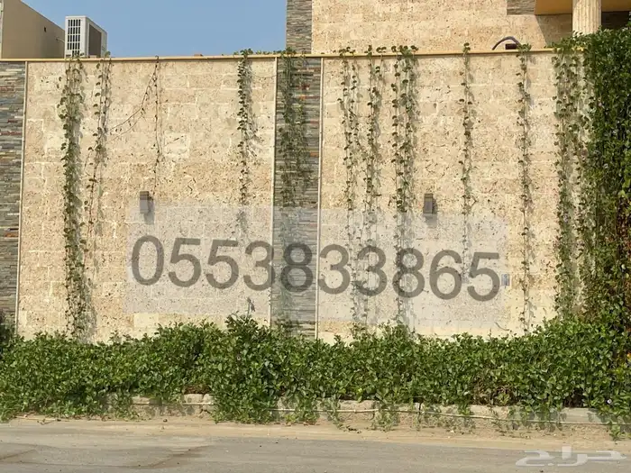 حجر منقبي بحري 6