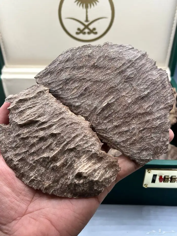 عود هندي تشار سوبر مرتفع ودبل سوبر 0