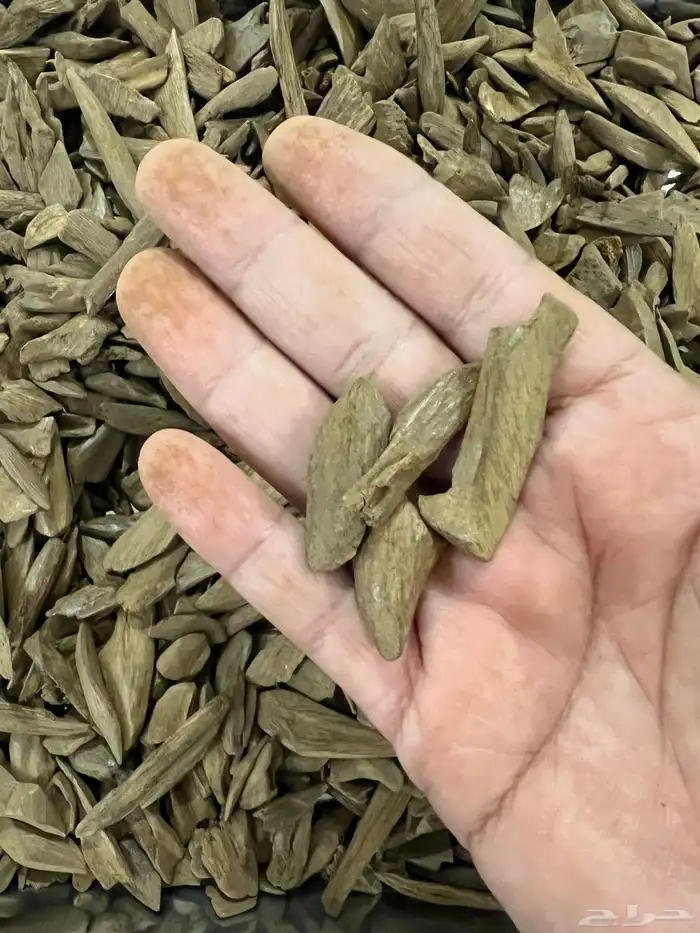 عود موروكي دبل 6