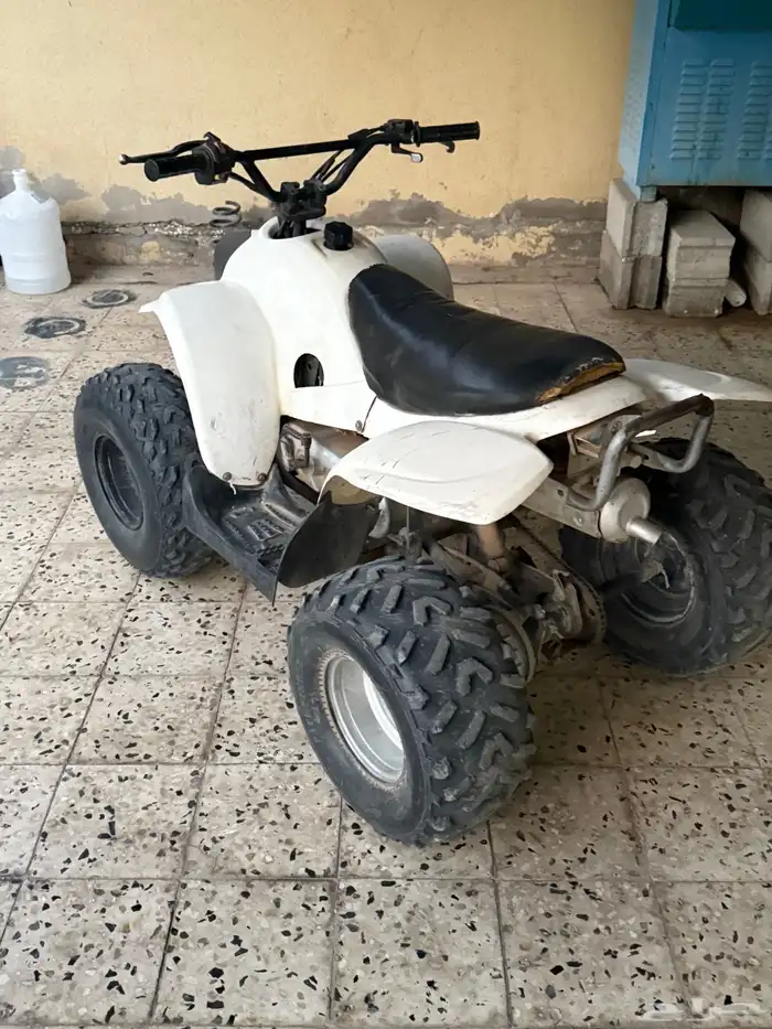 دباب للبيع مقاس 90 2