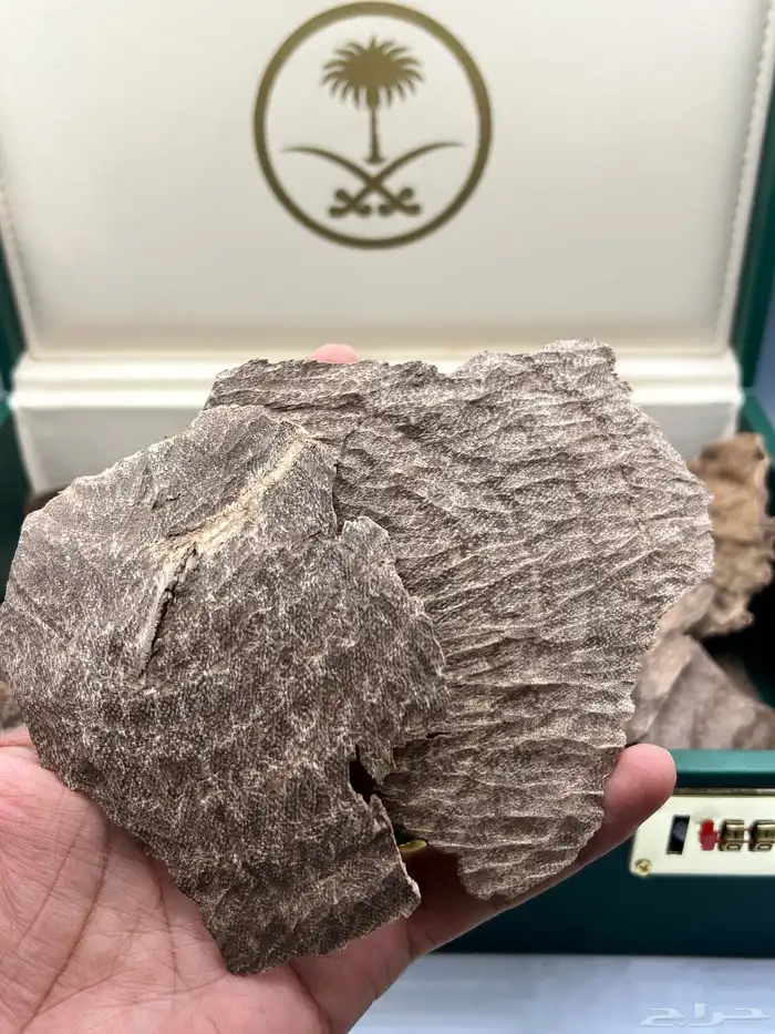 عود هندي تشار سوبر مرتفع ودبل سوبر 2