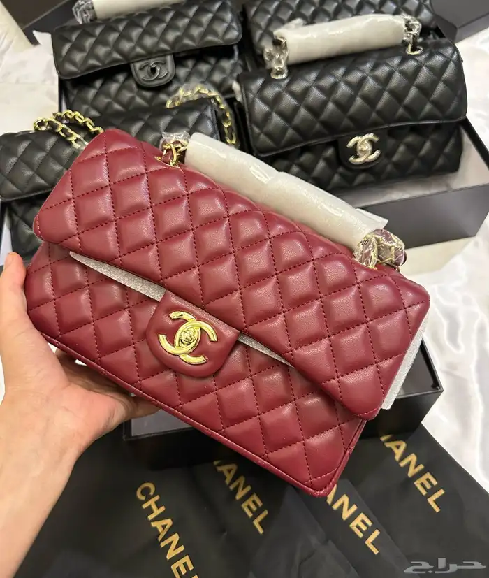 شنط شانيا وسان لوران ولويس فيتون 40