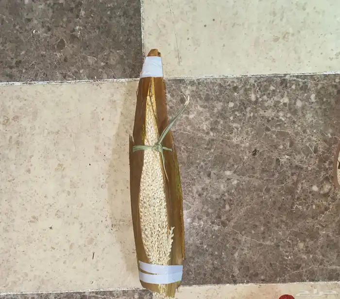 لقاح نخل بار 0