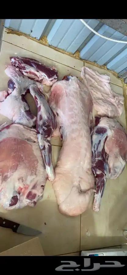 ذبايح مع خدمة الذبح والتوصيل 3