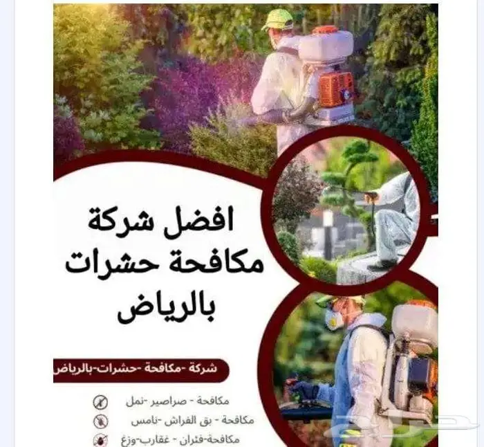 شركة مكافحة حشرات بالرياض ورش مبيدات صراصير نمل بق فئران 0