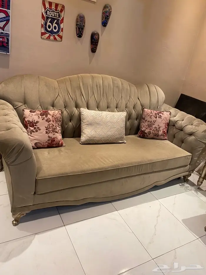 كنب زيتي للبيع 1