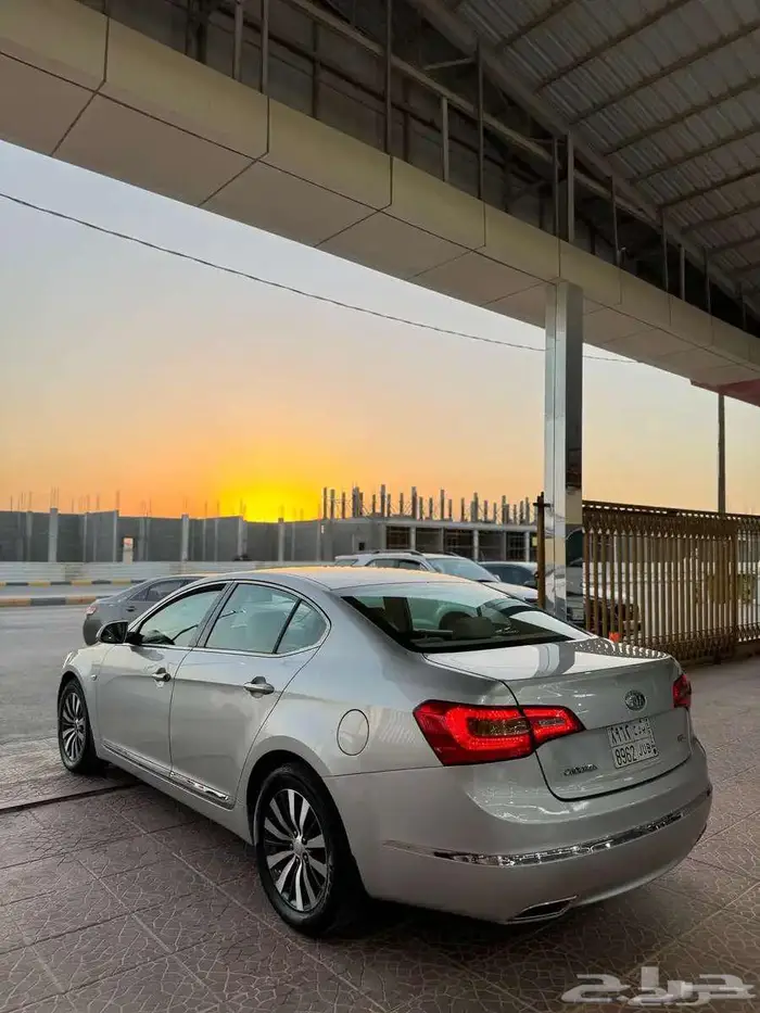 كادينزا 2013 سعودي (( تم البيع )) 13