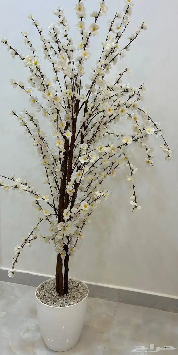 حوض ورد أبيض 0