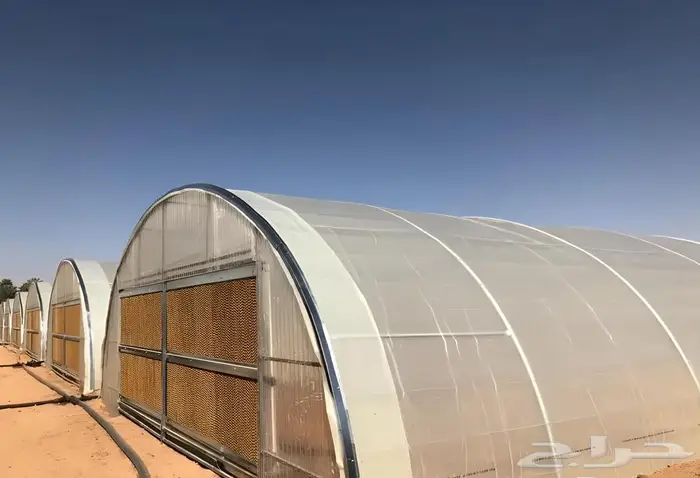 يوجد لدينا بيع وايجار وفك وتركيب البيوت المحميه 0