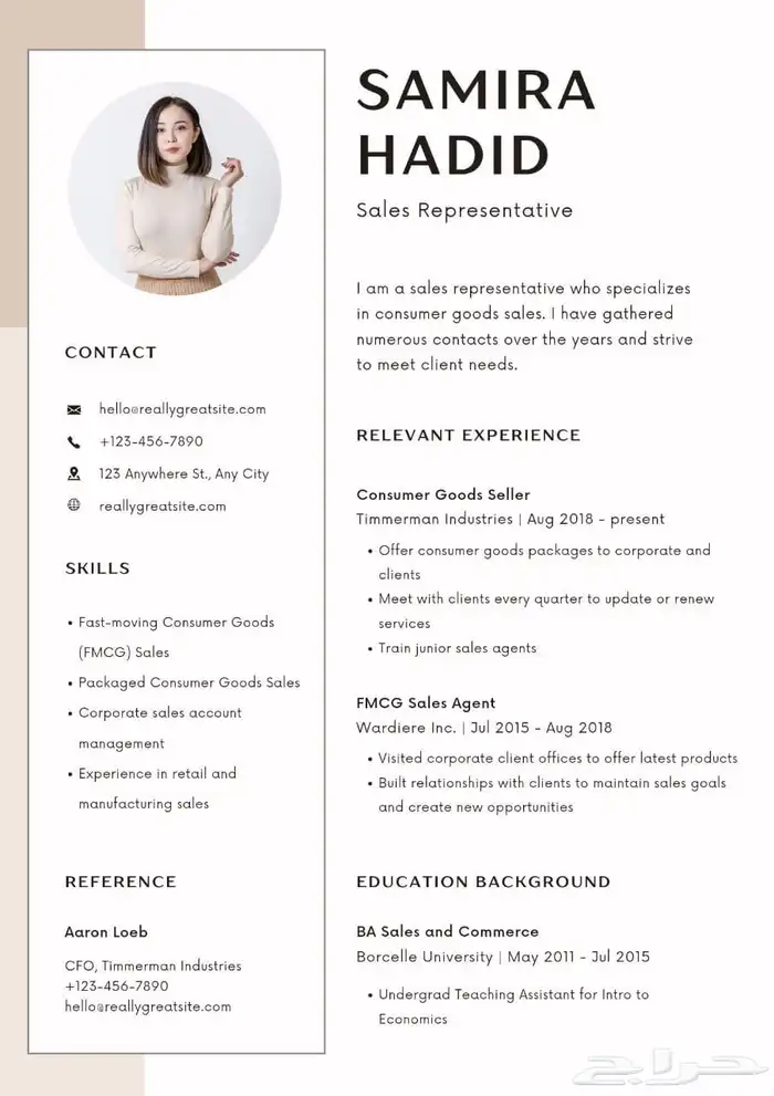 تصميم سيرة ذاتية احترافية CV 1