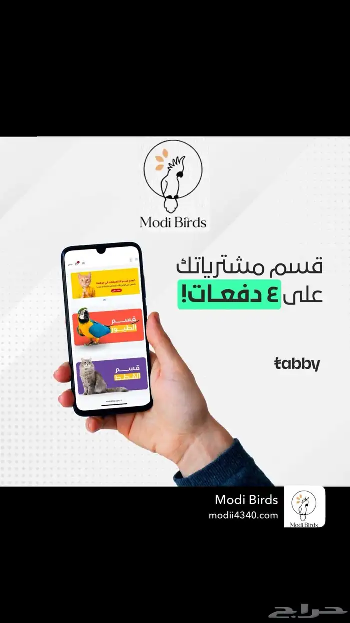 Modi Birds متجر 8
