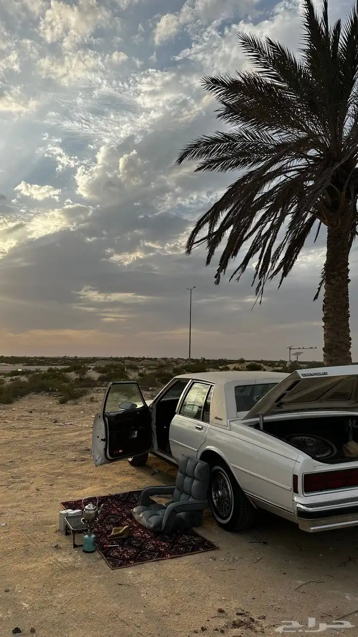 كابرس 1988 تم البيع 32