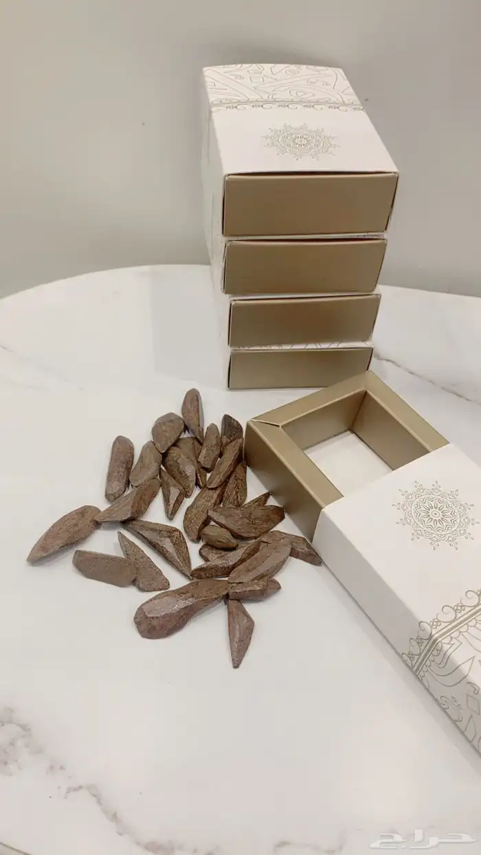 للبيع عود مروكي محسن 2