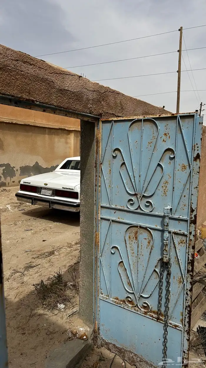 كابرس 1988 تم البيع 38