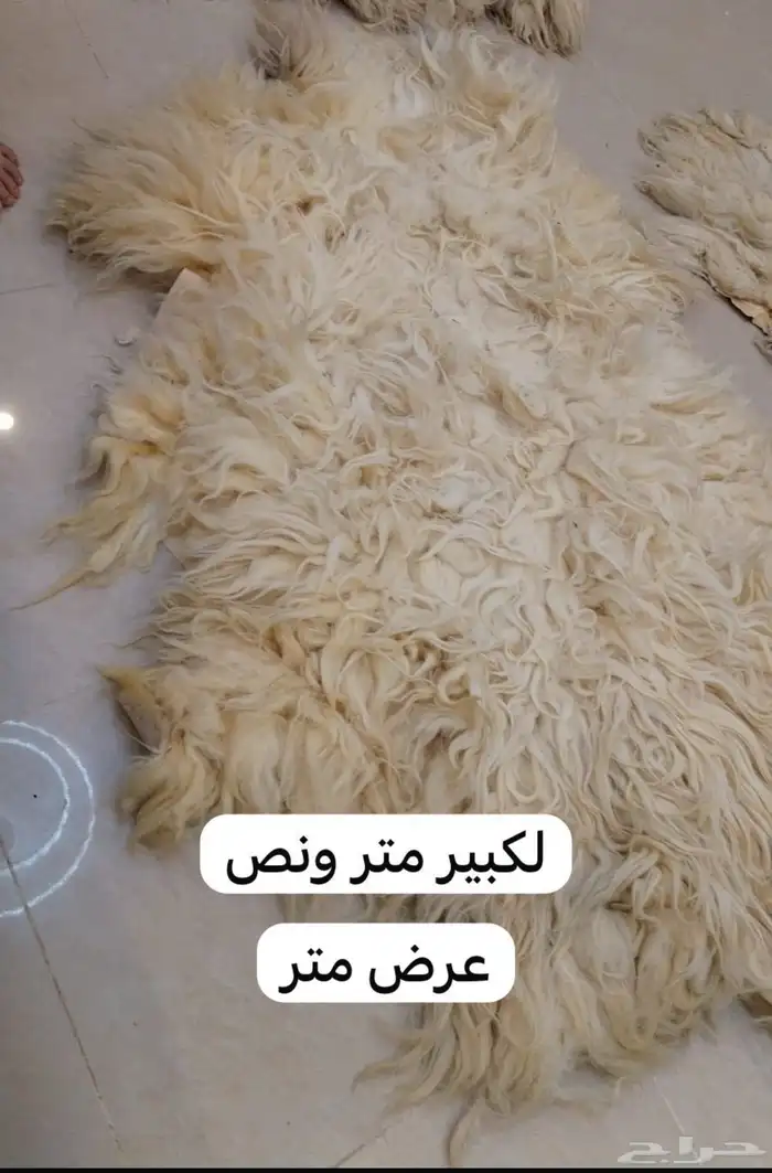 جاعد لبيع 0
