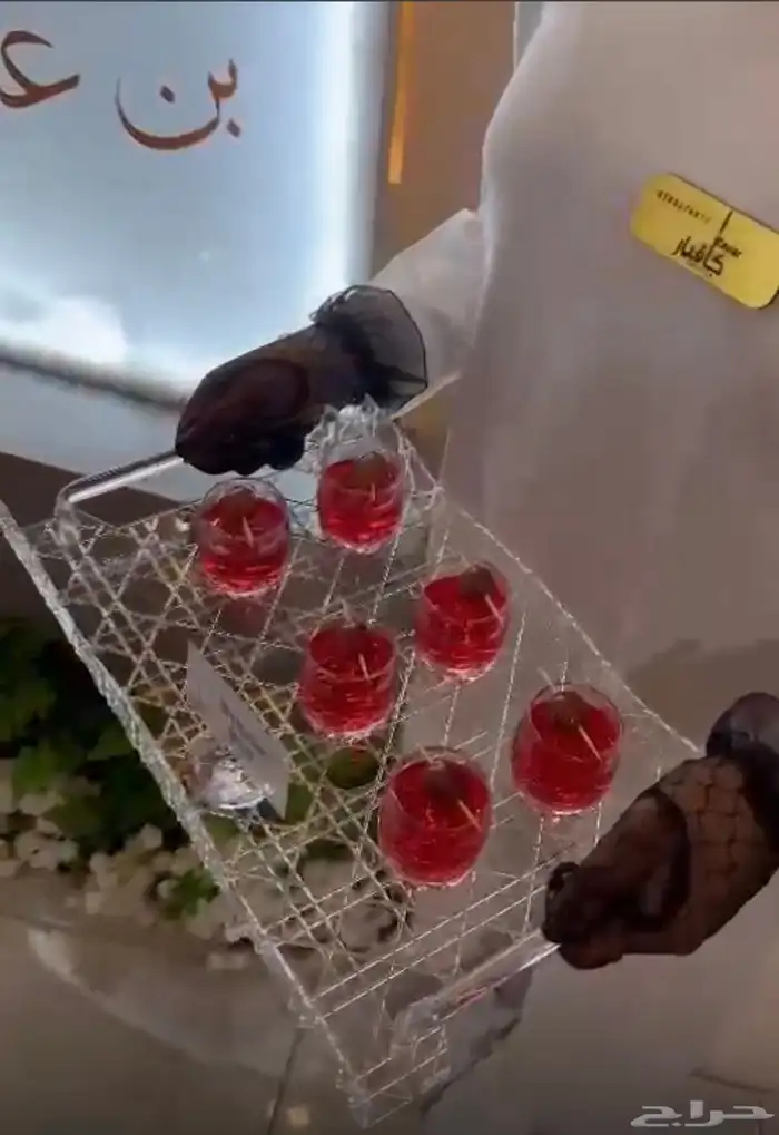 ضيافة كافيار 1