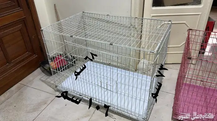 اغراض قطط للبيع 0