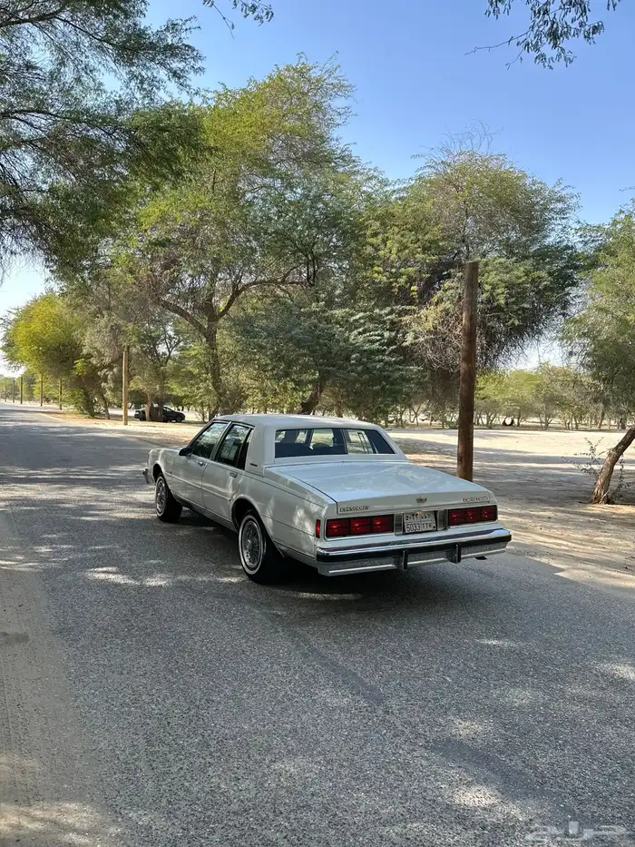كابرس 1988 تم البيع 17
