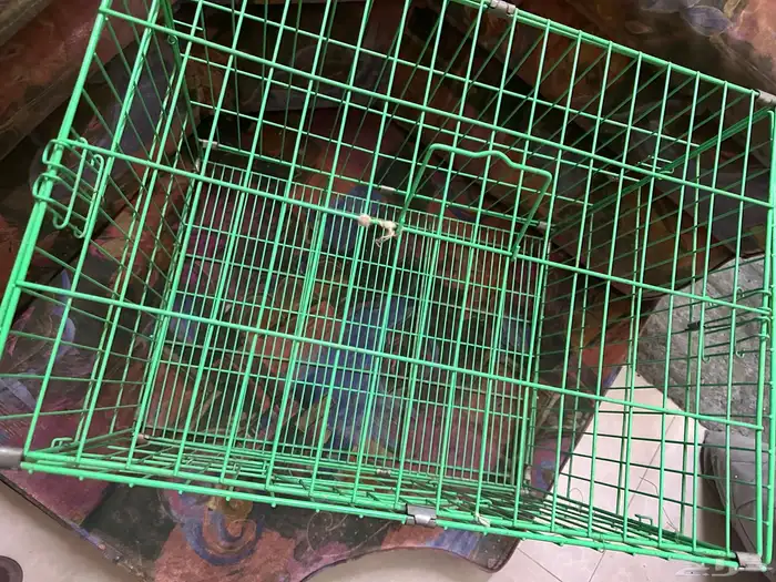 قفص حيوانات كبير للبيع 0