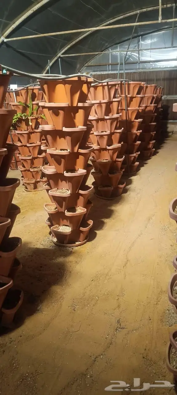 أحواض زراعية عامودية المزاحمية 0
