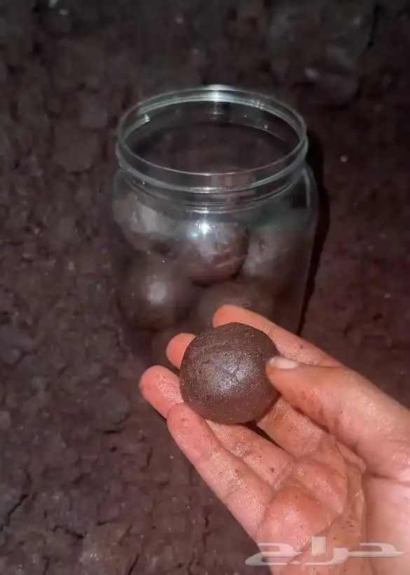 دلكة سودانيه لتفتيح الجسم 0