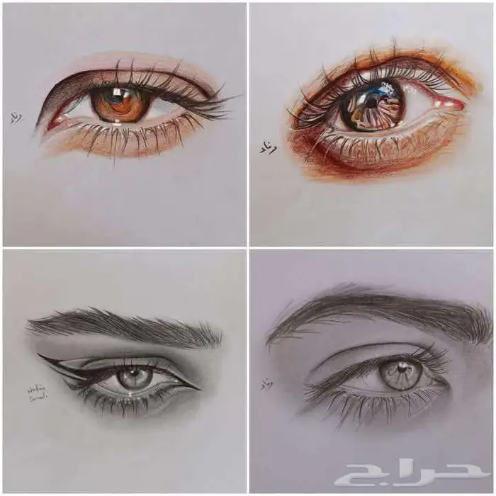 دروس تعليم رسم احترافي 3