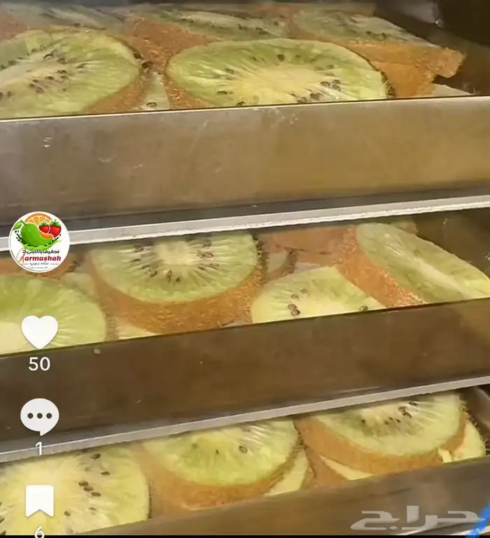تجفيف باالتبريد جمله فواكه وحلويات 3