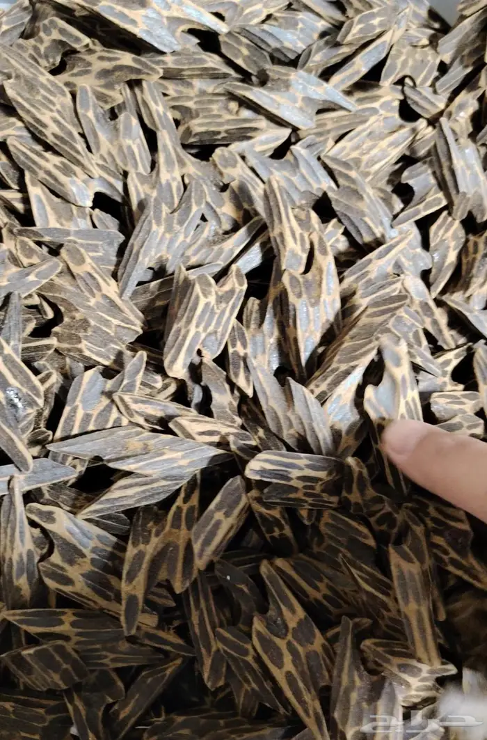 عود تايجر فيتنامي بيور 2