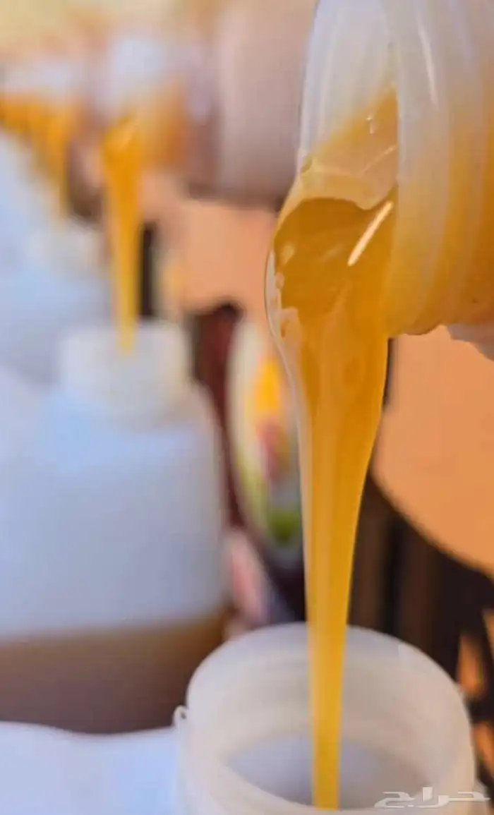 عسل سدر وصابي 1