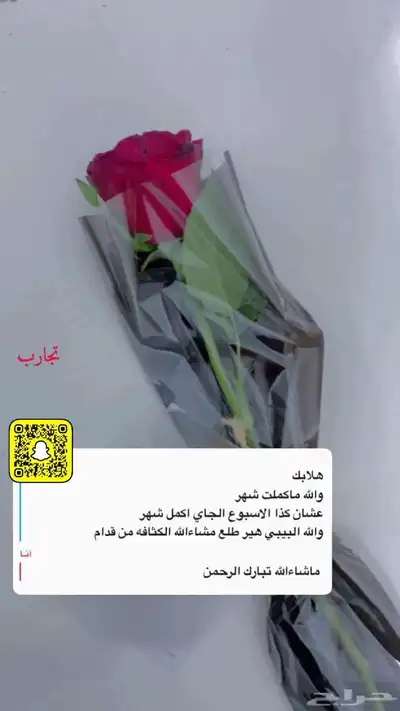عنايه 12
