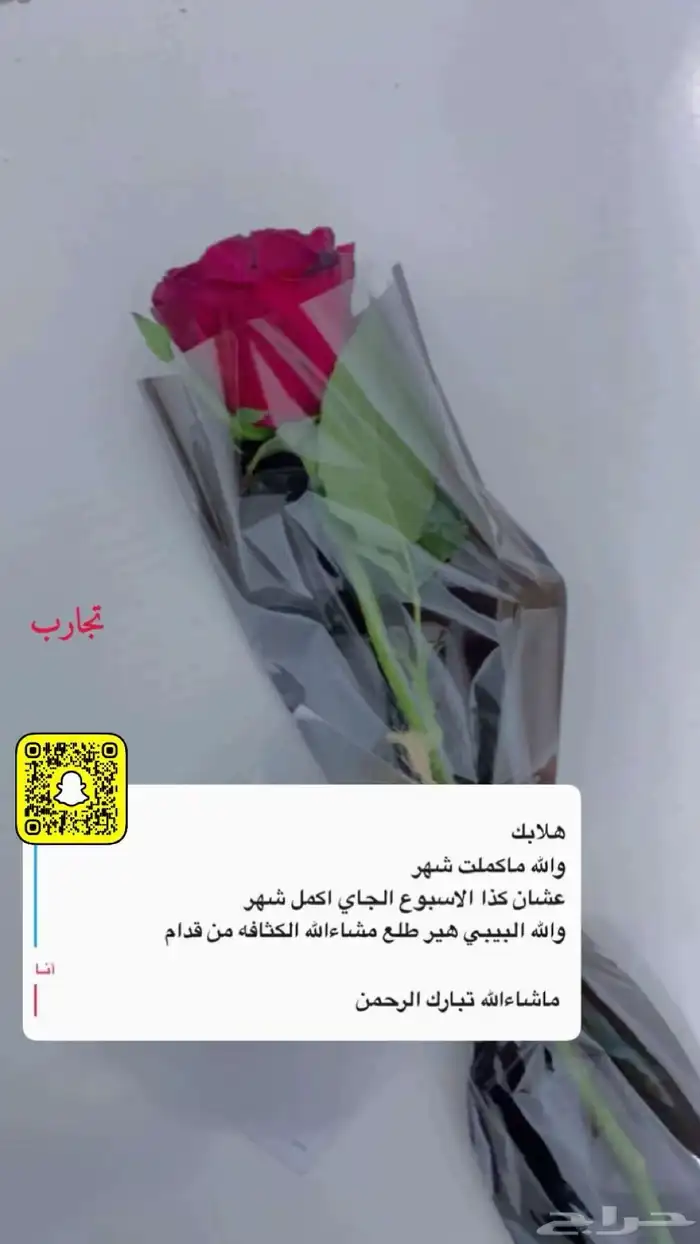 عنايه 12