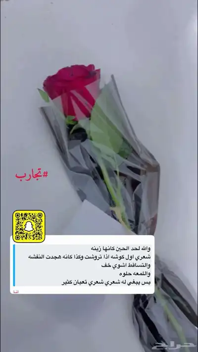 عنايه 10