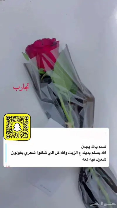 عنايه 11