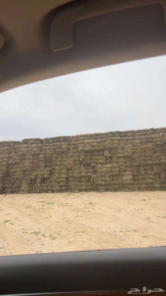 قريه العلياء 2