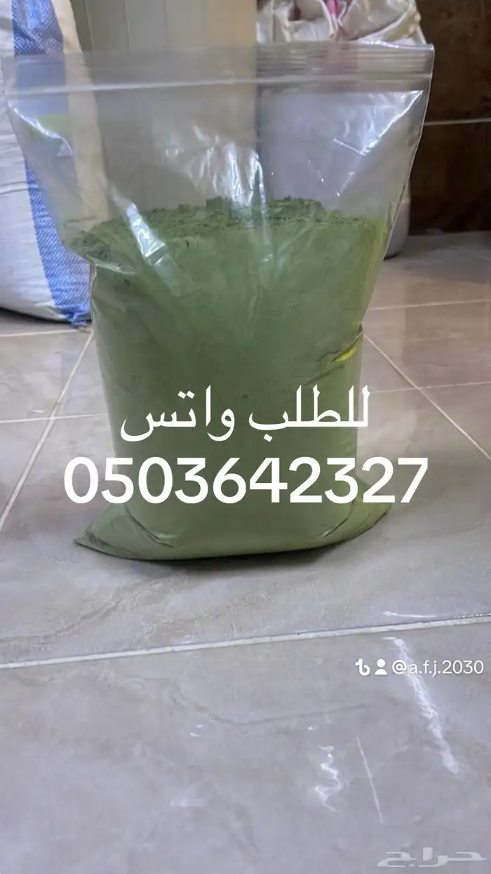 سدر بلدي وحنا مديني 5