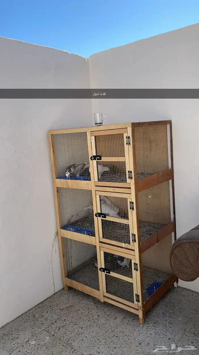 حمام تيدي 0