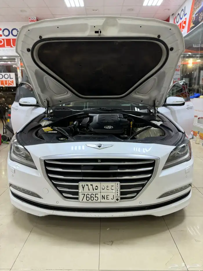 جنسس 20
