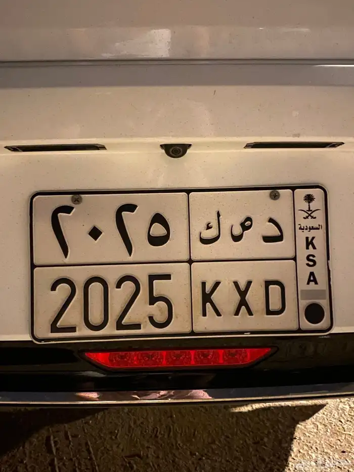 لوحة 2025 0