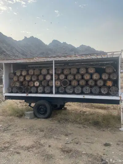 نحل للبيع 1