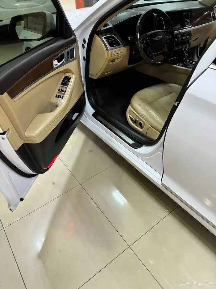 جنسس 17