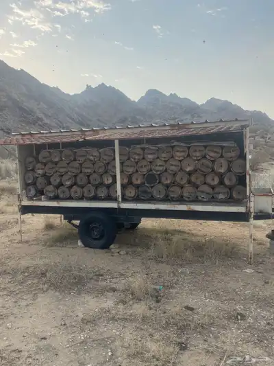 نحل للبيع 0