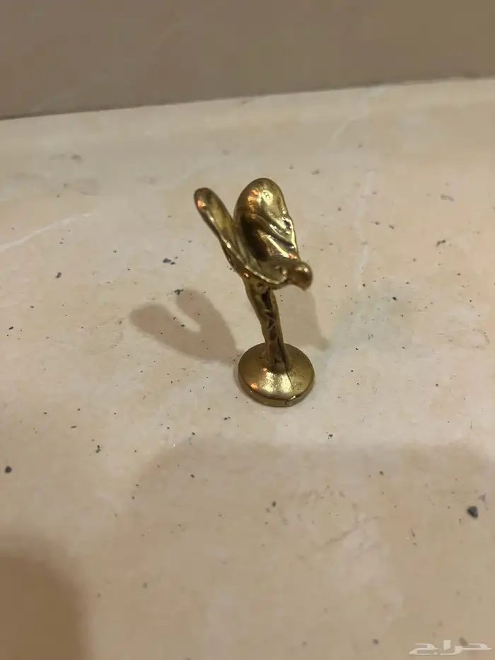 ثماثيل وعلامات قطب وسوسه 79