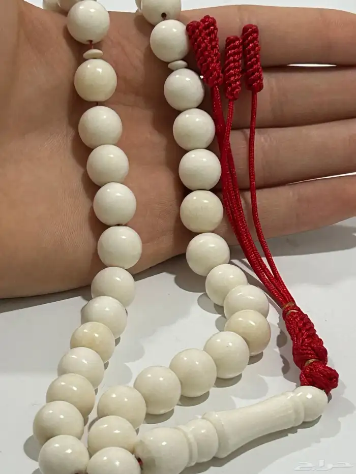 مسباح عظم جمل 3