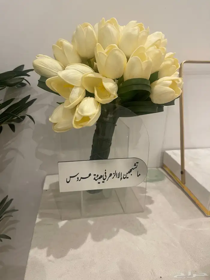 عربيه شبكه 4