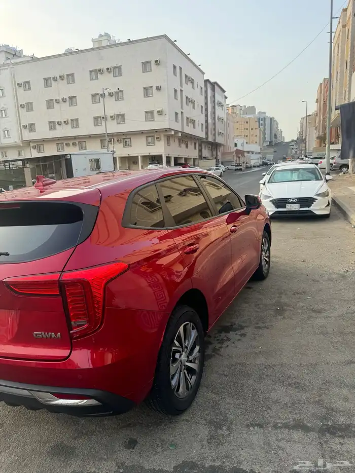 هافال جوليان 2023 استندر بدون حوادث 12