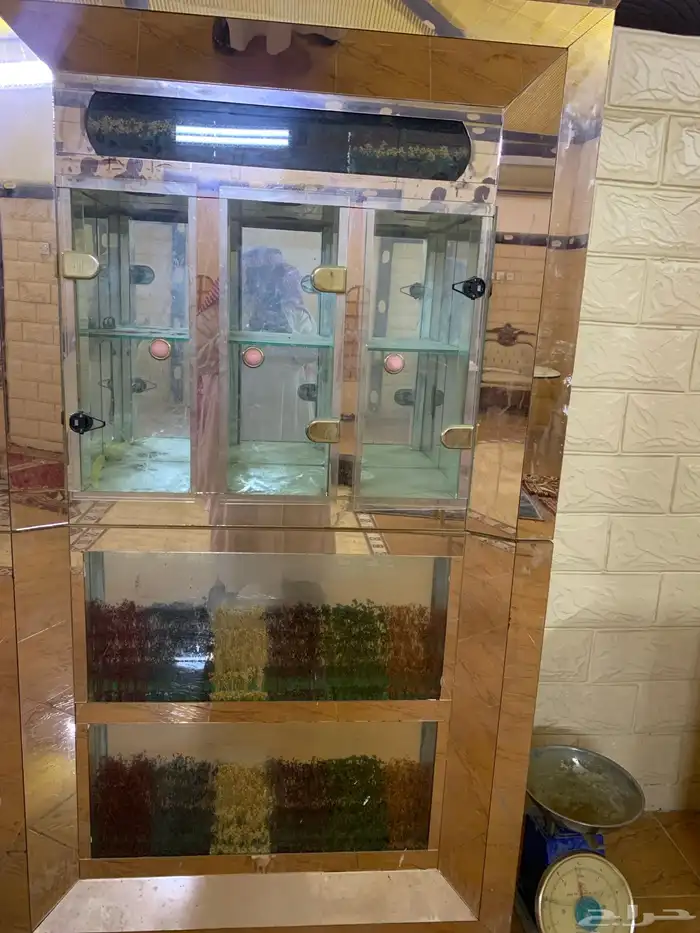 خميس البحر .الشارع العام 0