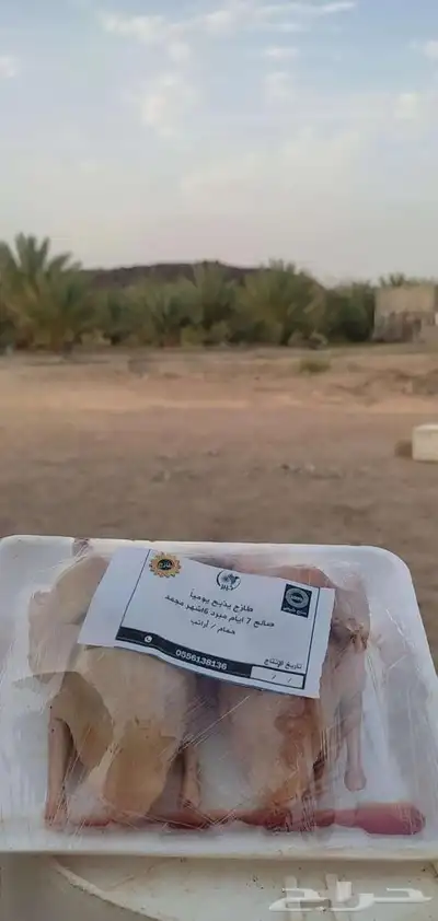 حمام فرنسي 30 0