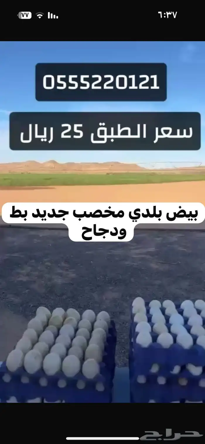 بيض بلدي بط مسكوفي من اطيب البط انتاج 0