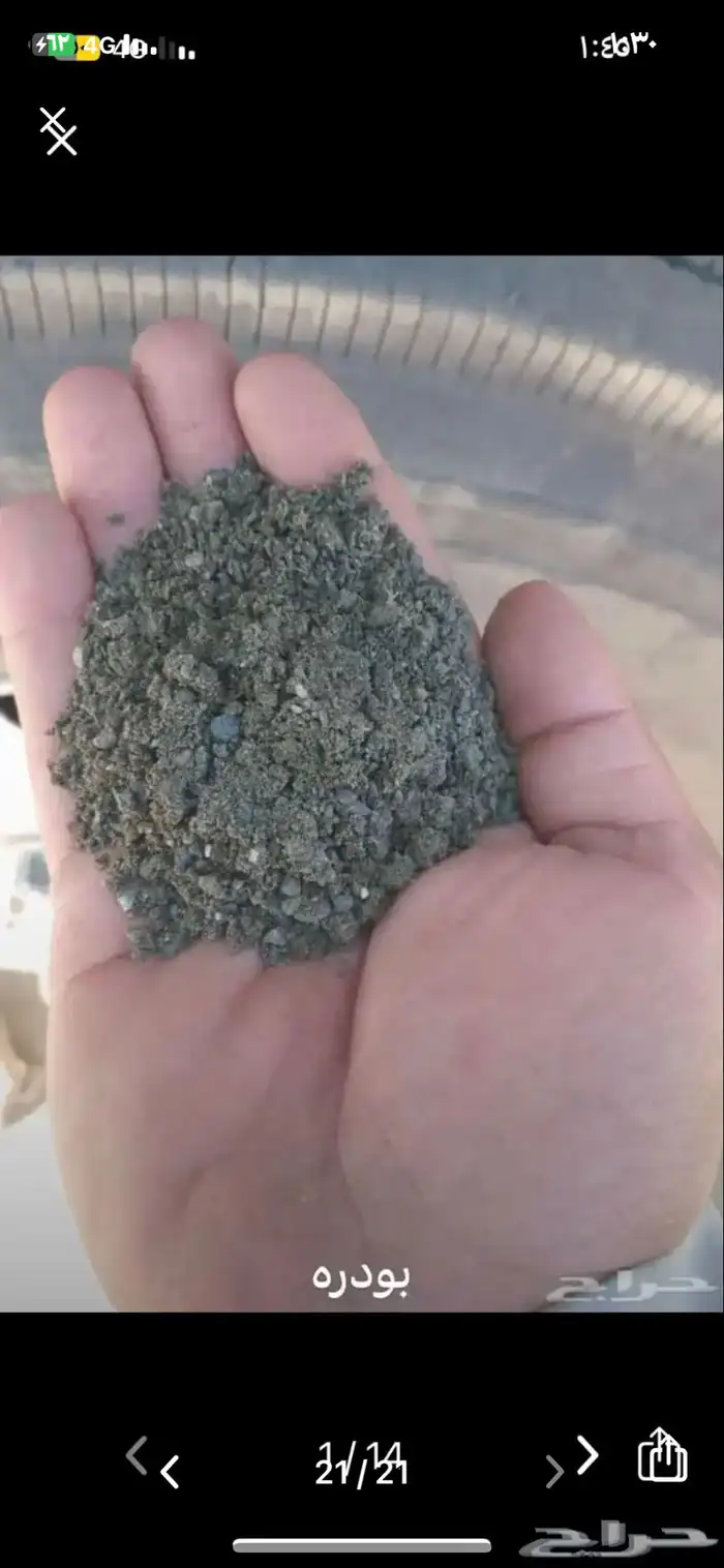 بطحاء ودفان 13